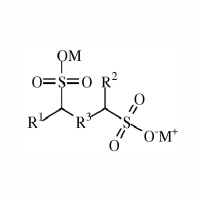 โฮสตาปูร์ SAS 93
